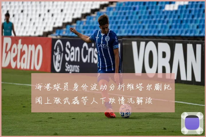 海港球员身价波动分析维塔尔蒯纪闻上涨武磊等人下跌情况解读