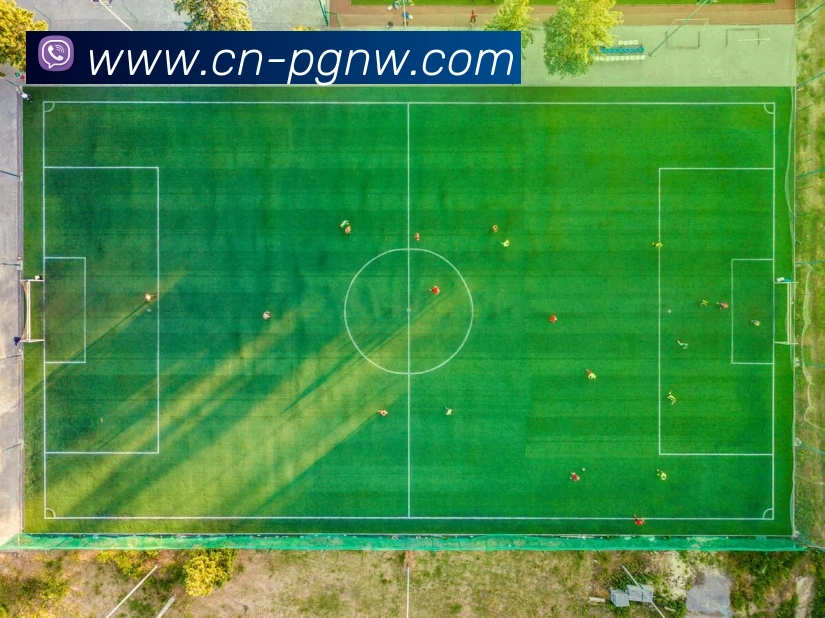 PG电子赏金女王品牌故事