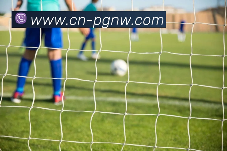 PG电子赏金女王APP 体育赛事宣传图